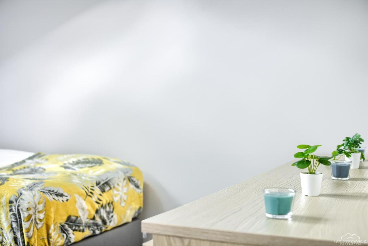 Apartment Soncas